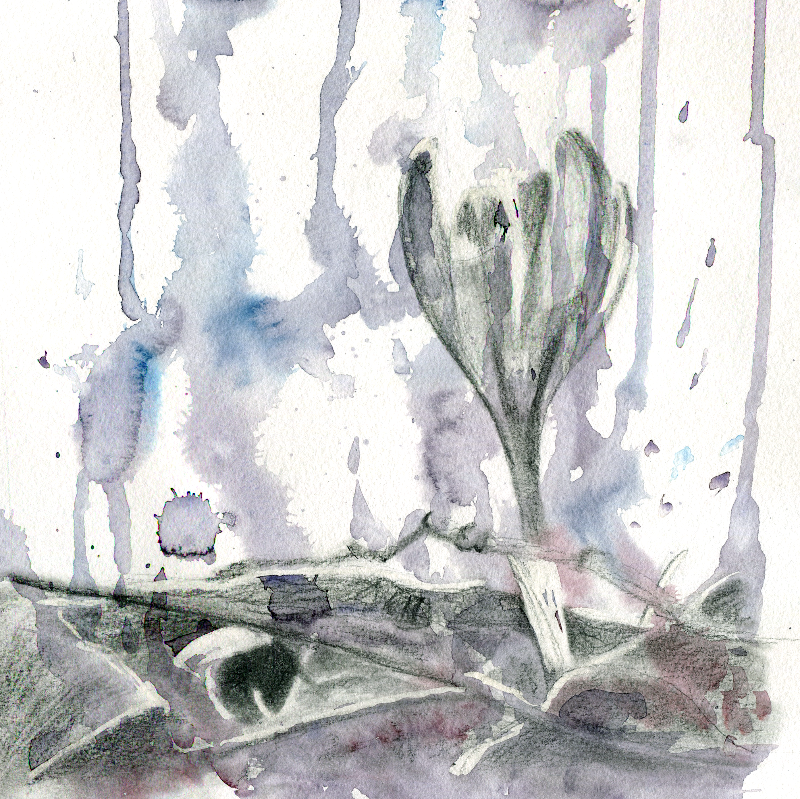 composition-imagery